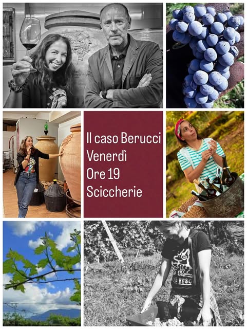 Bottiglie di vino di Maria Ernesta Berucci esposte a Sciccherie