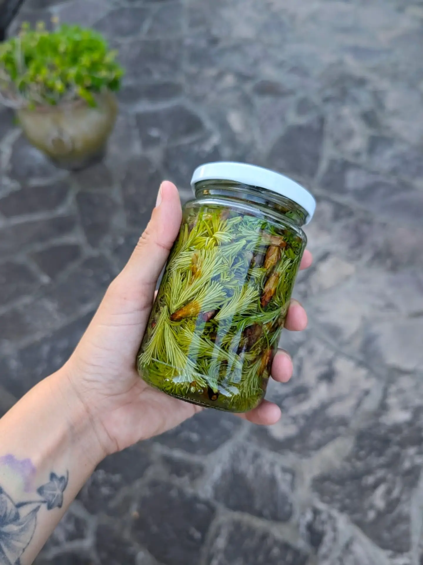Tartare di rape con maionese alle erbe